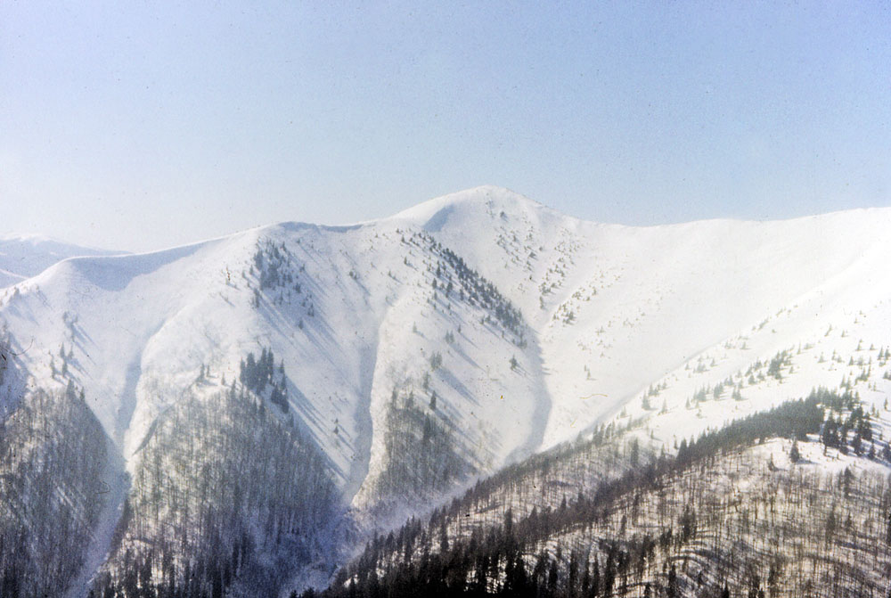 Зони зародження лавин в Українських Карпатах